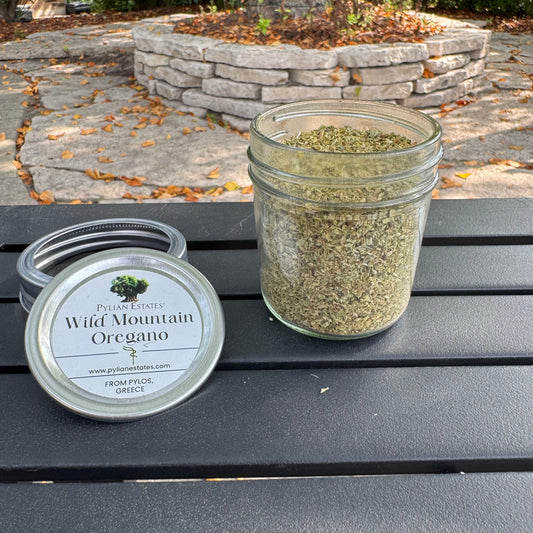Wild Mountain Oregano