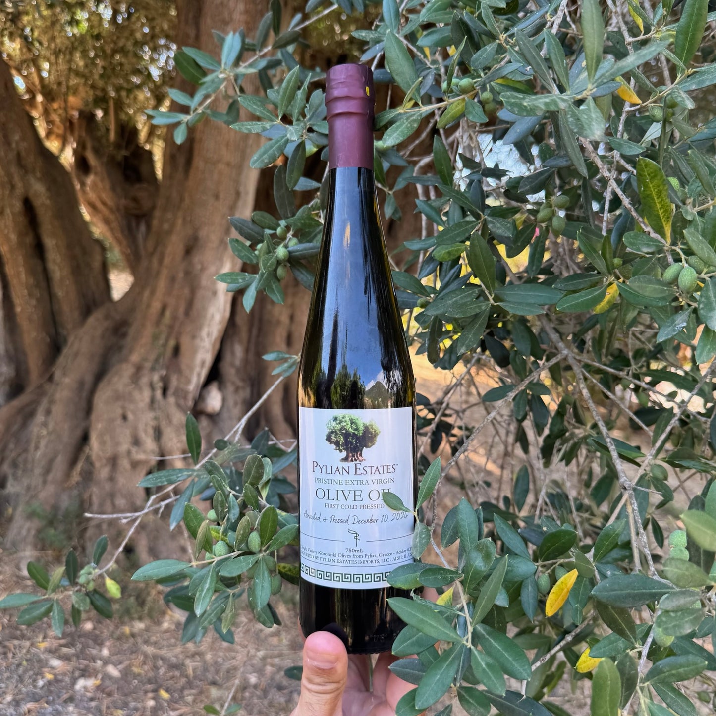 Pylian Estates Olive Oil- 750ml