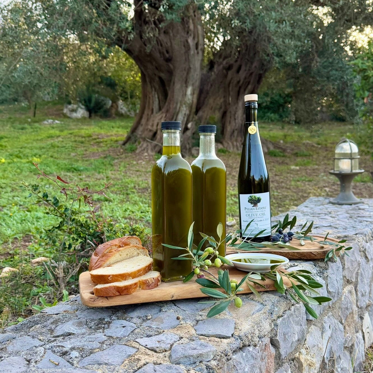 Special Micro Grove Harvest Olive Oil