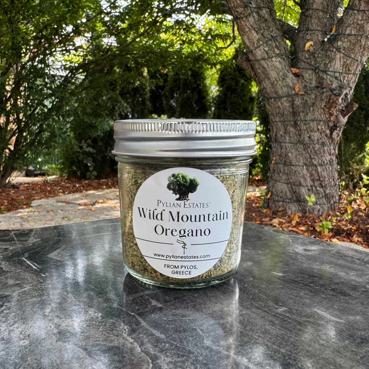 Wild Mountain Oregano