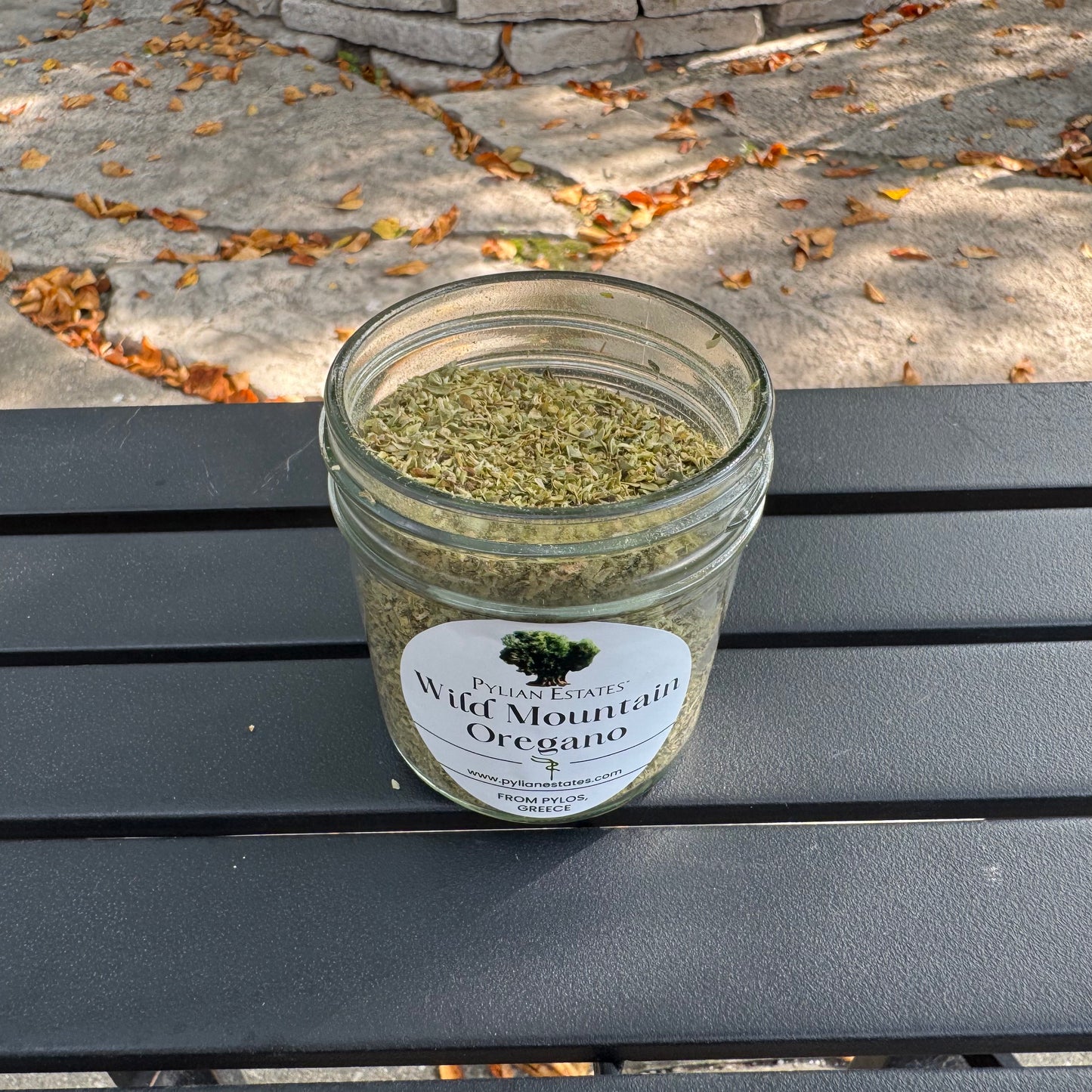 Wild Mountain Oregano