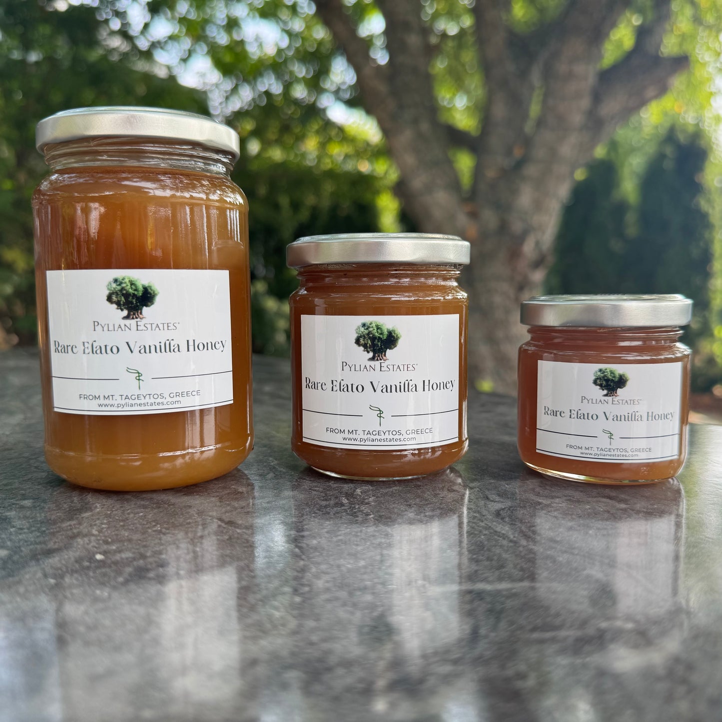 Elato Vanilla Fir Honey