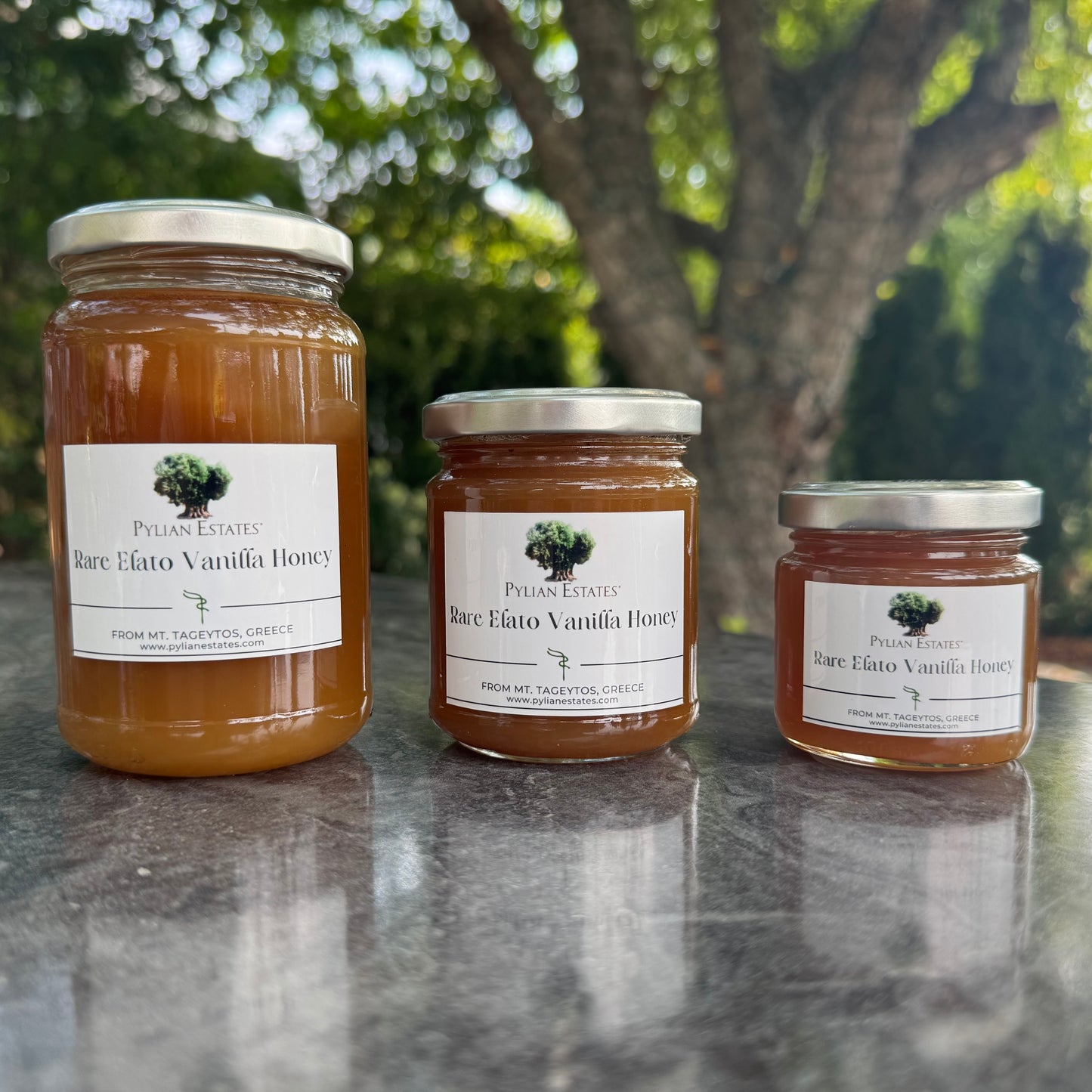 Elato Vanilla Fir Honey