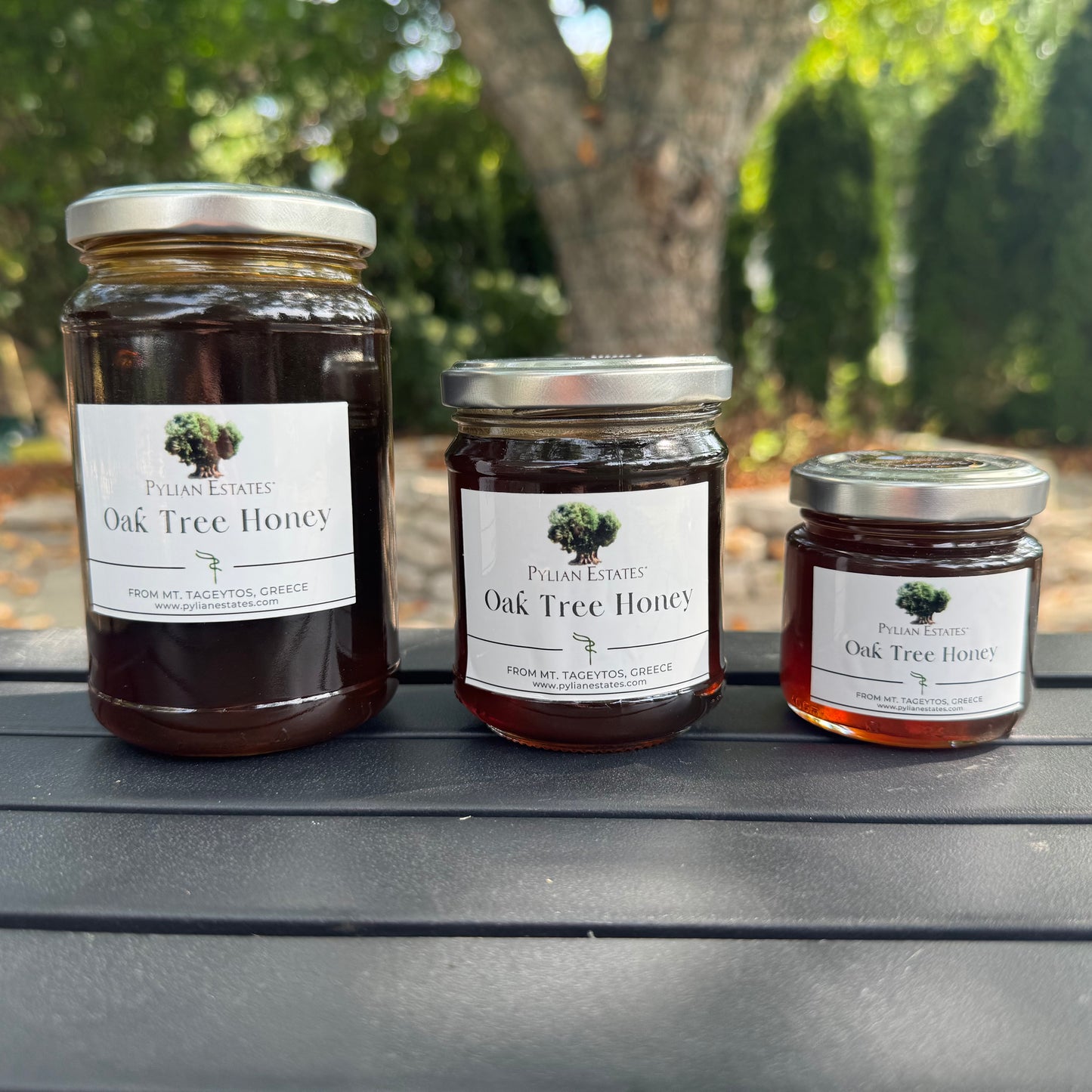 Oak Tree Honey