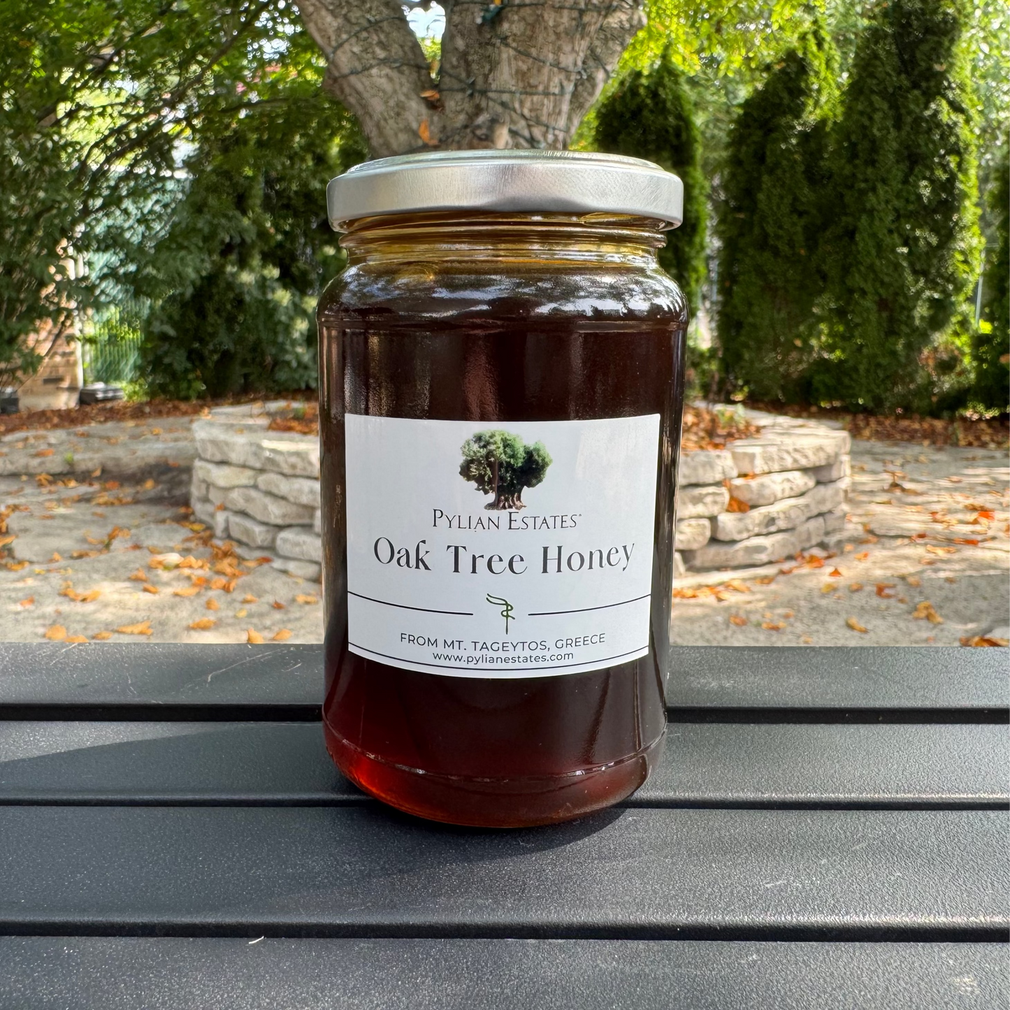 Oak Tree Honey