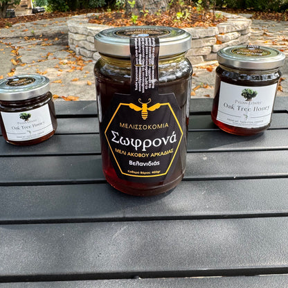 Oak Tree Honey
