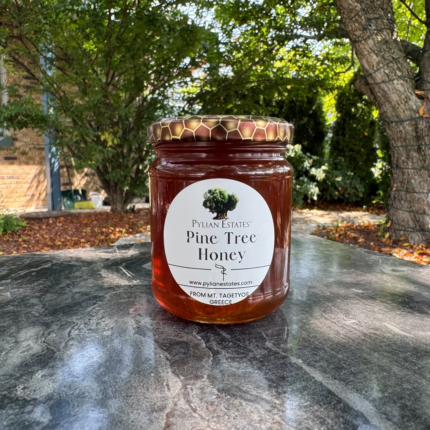 Pine Tree Honey