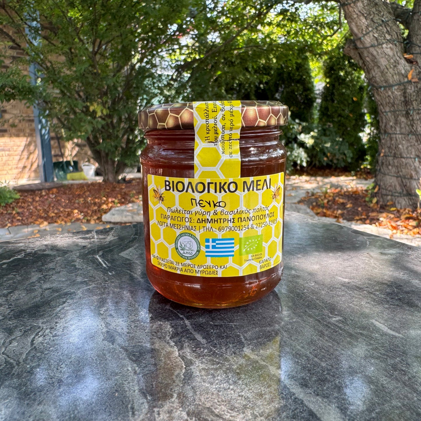 Pine Tree Honey