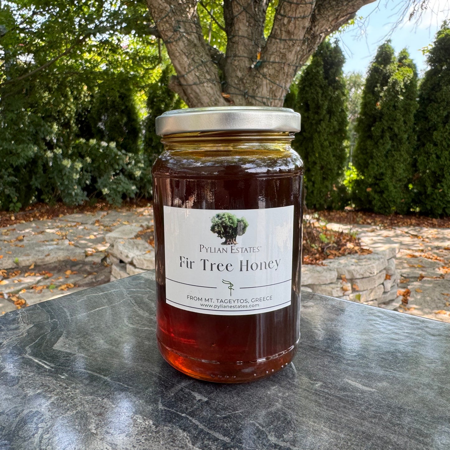 Fir Tree Honey