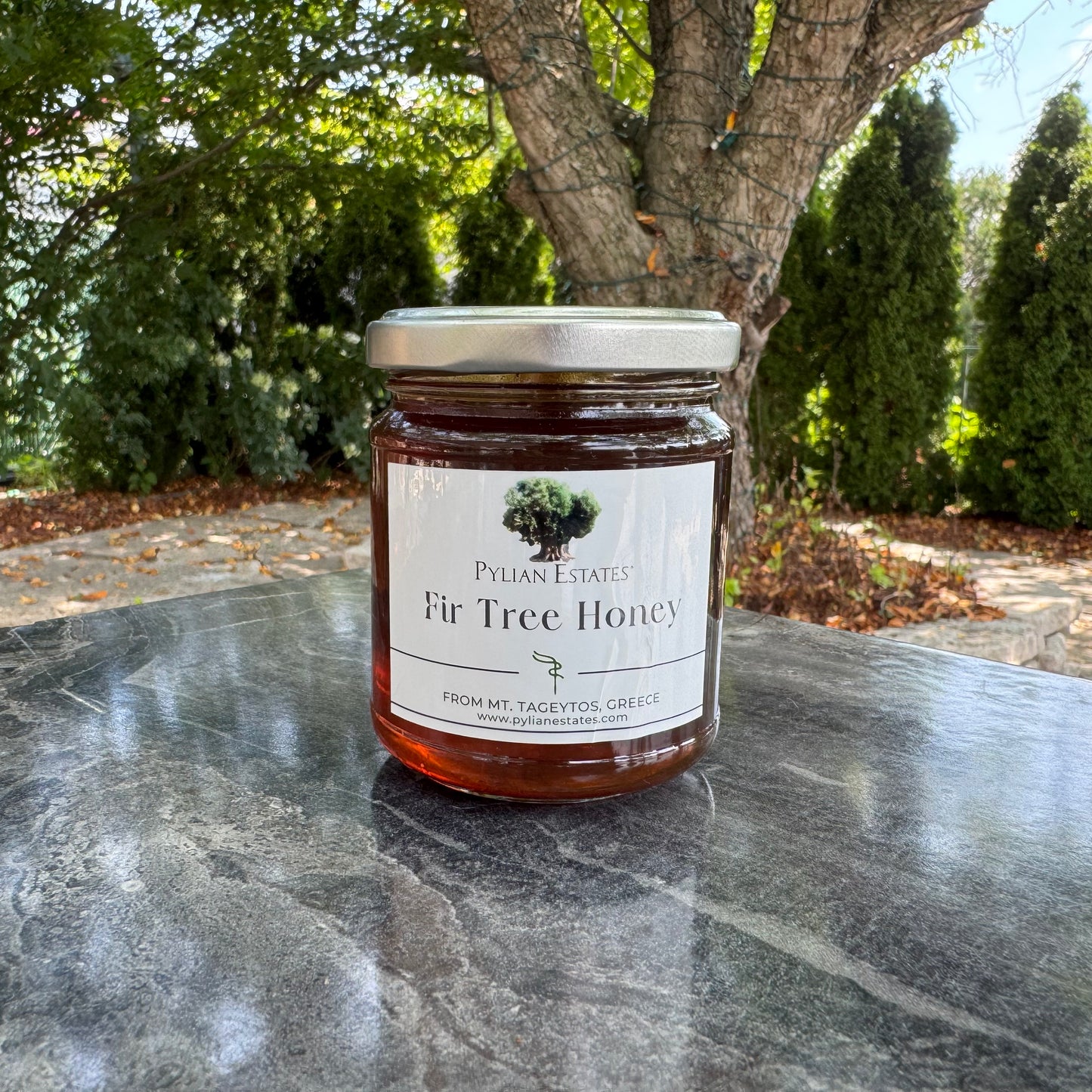 Fir Tree Honey