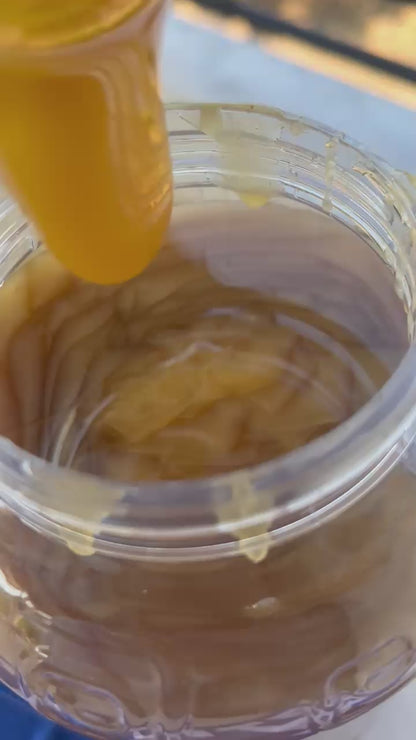 Elato Vanilla Fir Honey