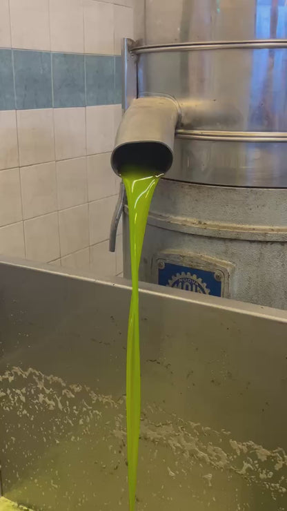 Special Micro Grove Harvest Olive Oil